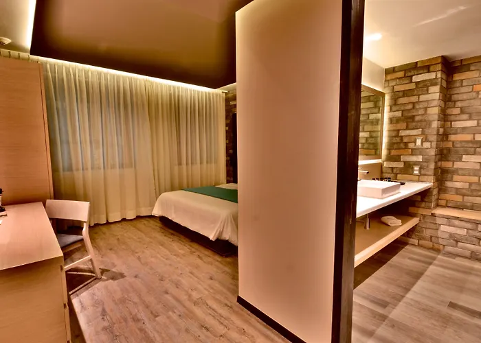 Hotel Punto Mx 4*